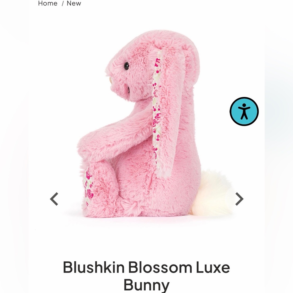 Authentic Jellycat Blushkin Blossom Luxe Bunny NWT and Jelly cat bag - Picture 2 of 11